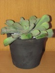 Искусственное растение в керамическом горшочке