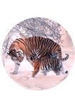 Тарелка настенная 12,5см Тигры-2