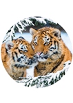 Тарелка настенная 12,5см Тигры-4